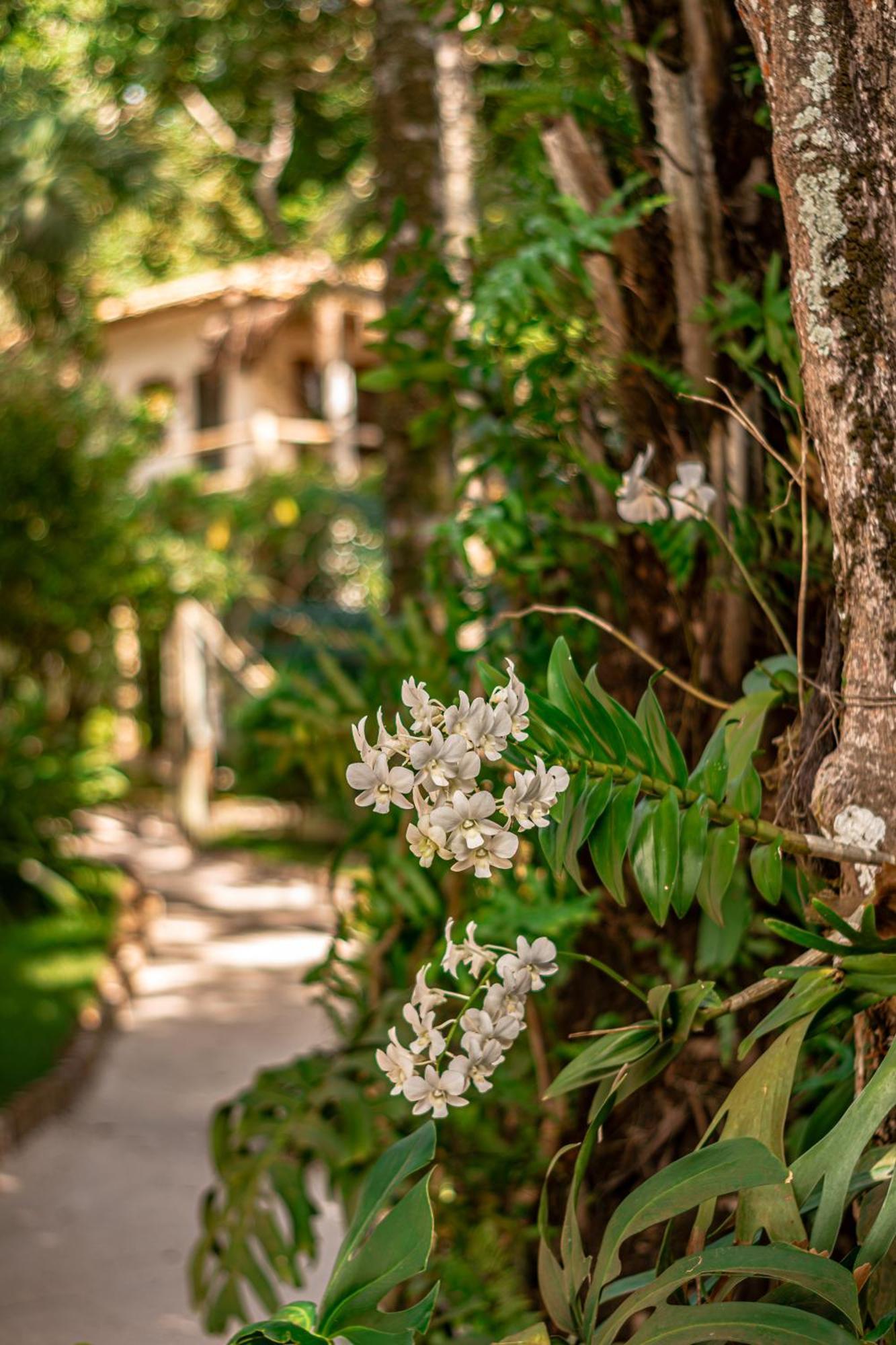 Hotel Boutique Bahia Bonita Trancoso Exterior photo